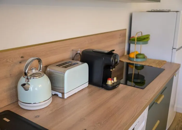 L'olivier - Centre - Balcon - Parking 200 M * Tarbes