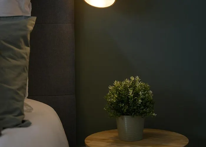 L'olivier - Centre - Balcon - Parking 200 M Apartman Tarbes